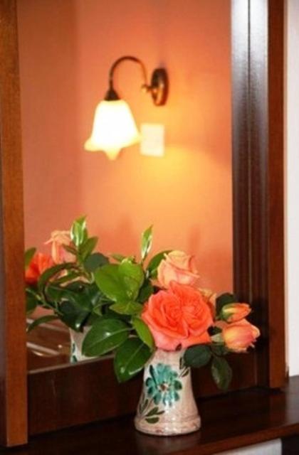 Triantafyllou Maria Rooms Skópelos Habitación foto